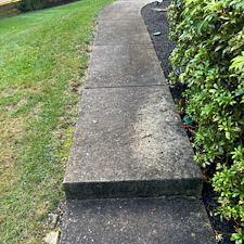 Concrete-Pressure-Washing-Surface-Cleaning 5